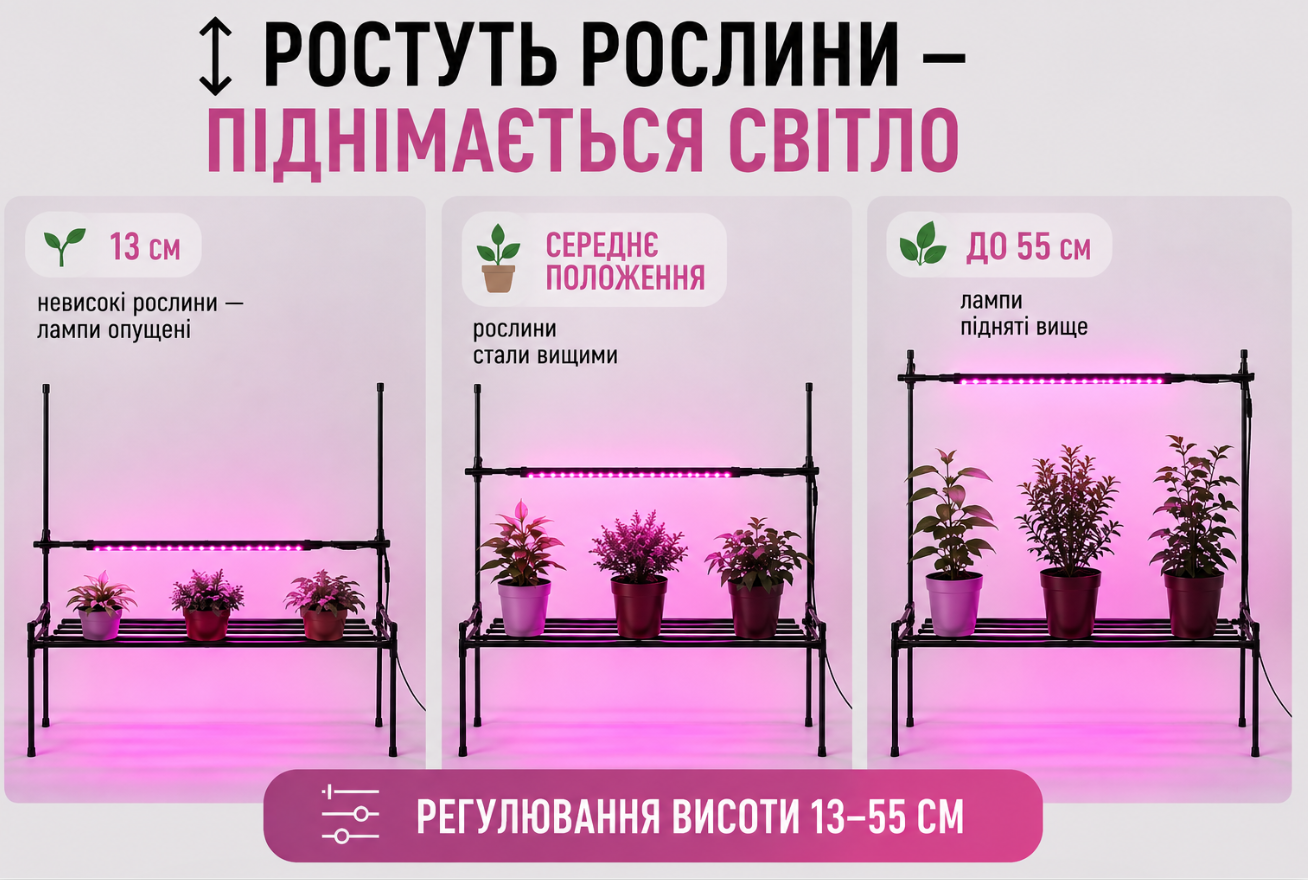 Ростуть рослини — піднімається світло