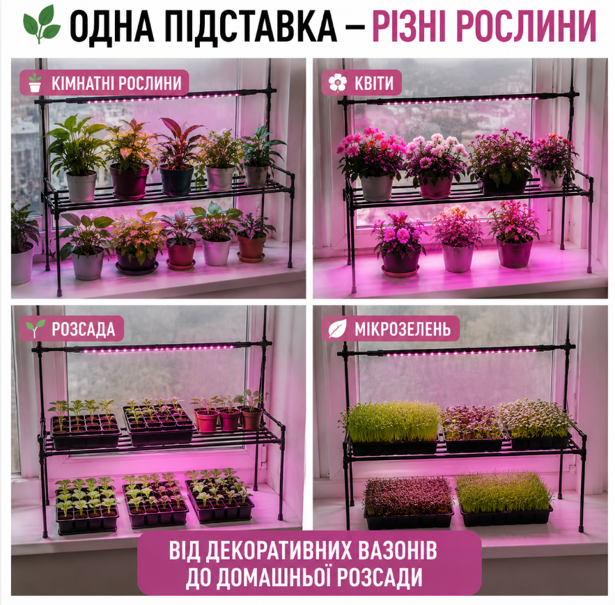 Одна підставка — різні рослини